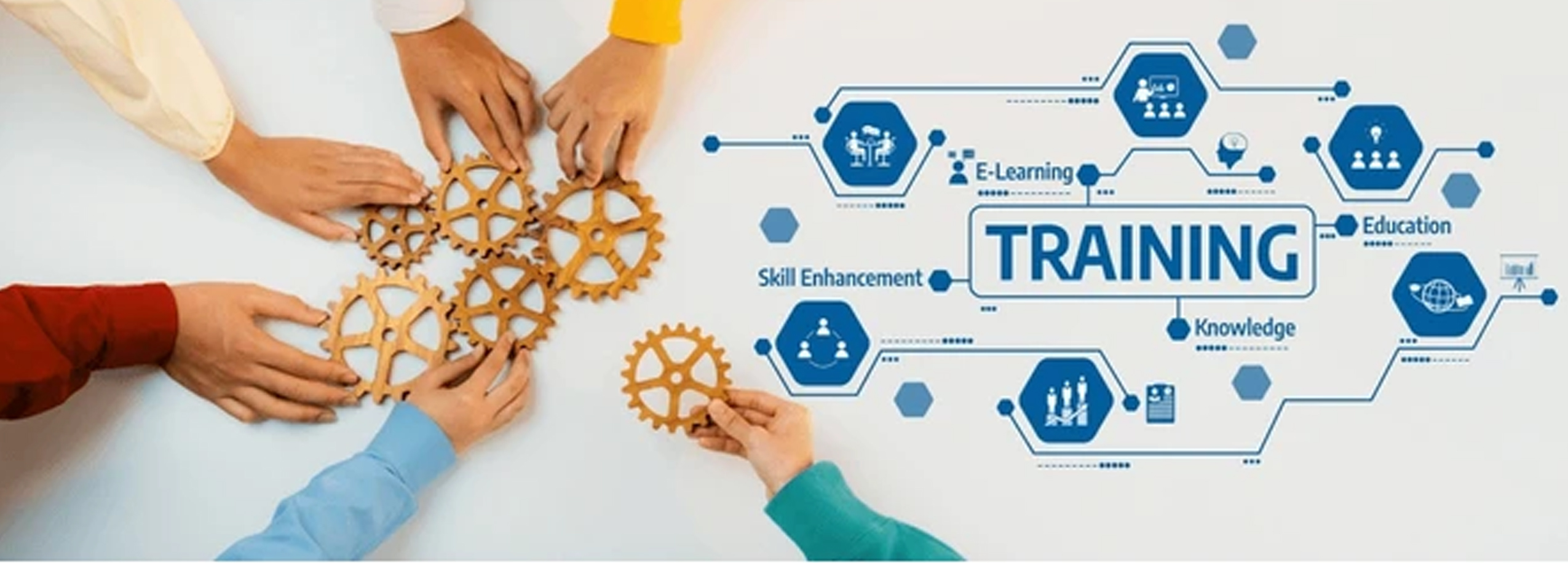 Training and Capability Transfer